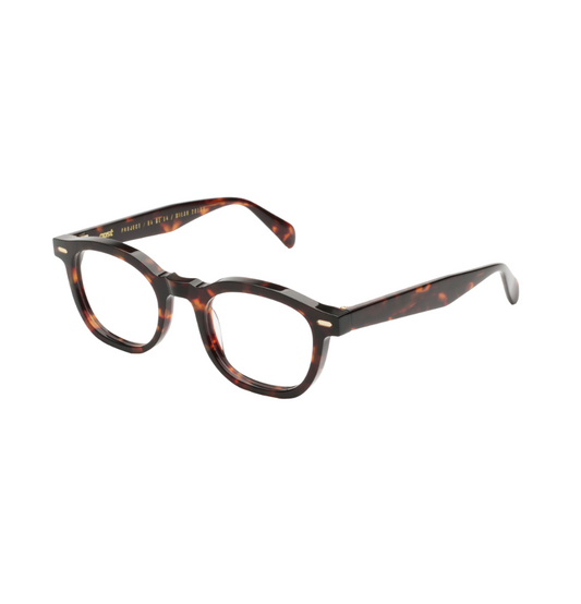 Gast  ANIMA CLASSIC HAVANA - AN02
