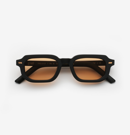 Gast PAI sandstone - PA04